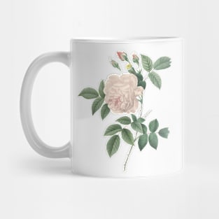 White Rose Flower Vintage Botanical Illustration Mug